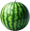 Semangka
